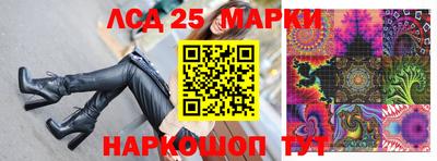 прущие грибы Краснодар