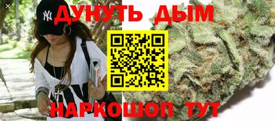 прущие грибы Краснодар