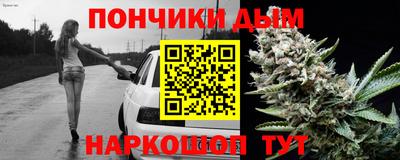 прущие грибы Краснодар