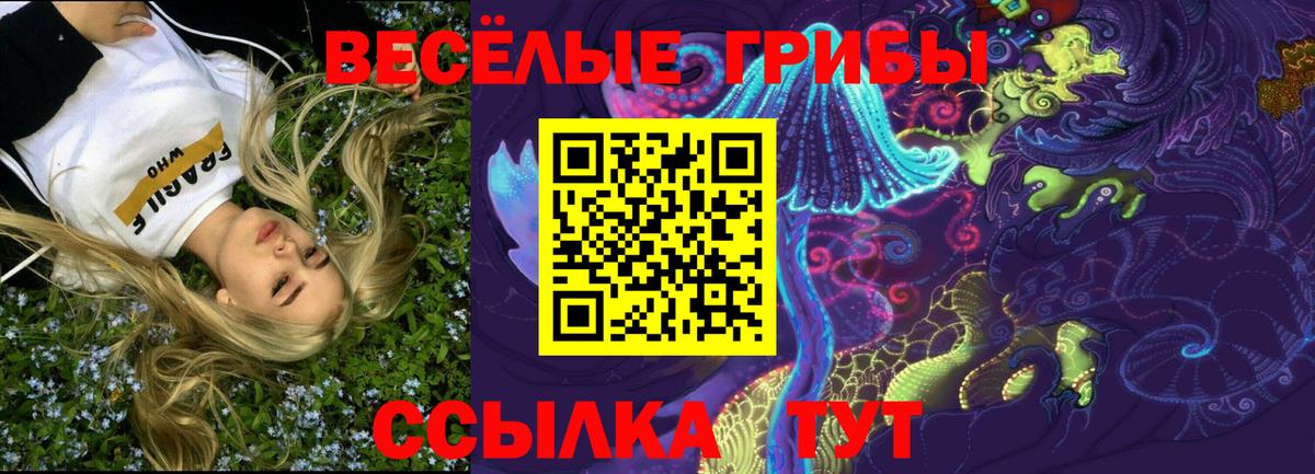 Псилоцибиновые грибы Magic Shrooms Кимовск