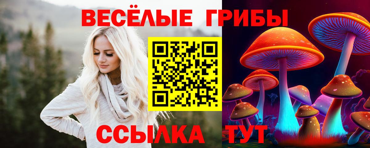 Кимовск  Галлюциногенные грибы GOLDEN TEACHER  Псилоцибиновые грибы Magic Shrooms  Вход с VPN 